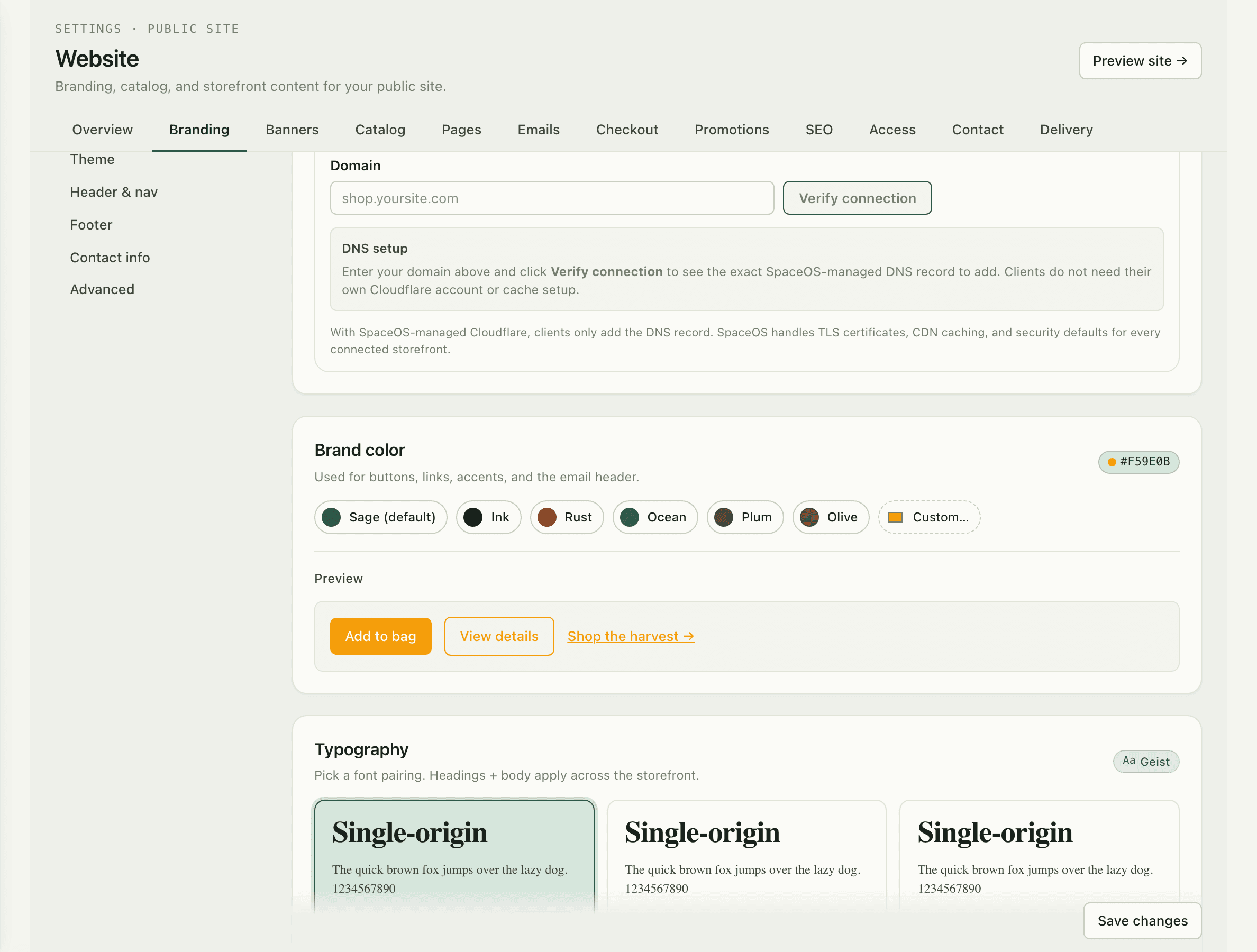 Custom domain setup screen